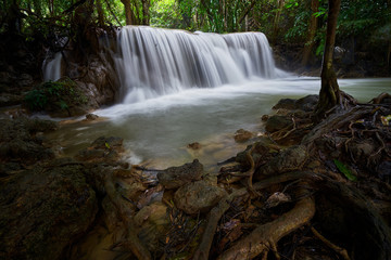 waterfall flow in forest and root of tree on foreground