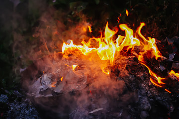 Paper burning on green summer grass outdoors.