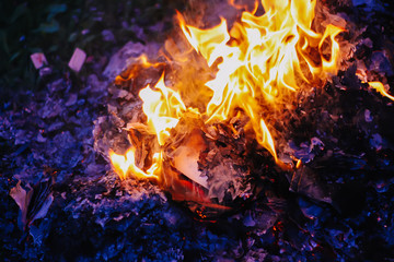 Paper burning on green summer grass outdoors.