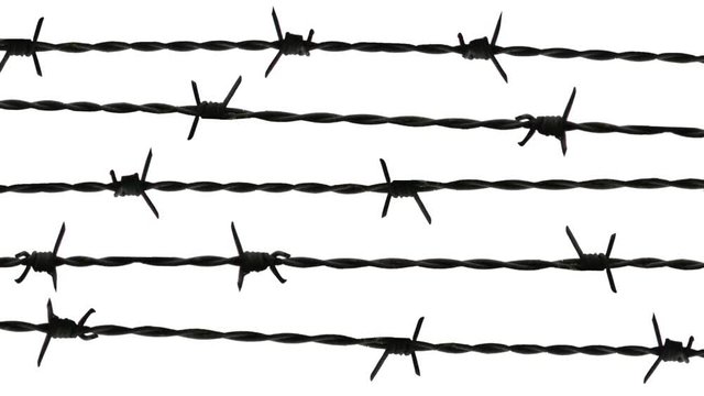 Barbed wire remains of iron curtain.