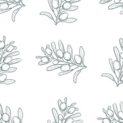 Olive sketch branch seamless background over white background with leaves and olives. Hand drawn vector illustration.