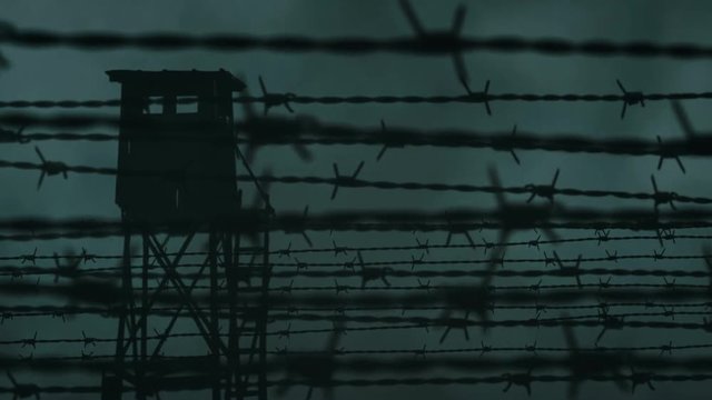 Barbed wire remains of iron curtain.