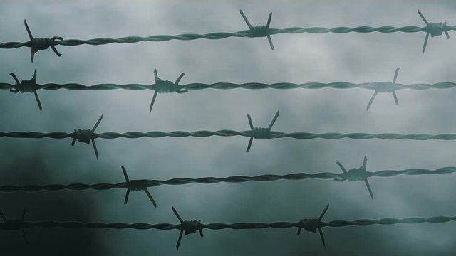 Barbed wire remains of iron curtain.