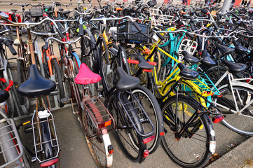 Rowery, rowery, rowery... © W Korczewski