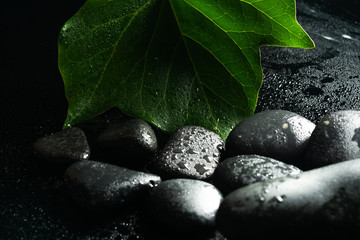 Obraz na płótnie Canvas black massage stones and plants 