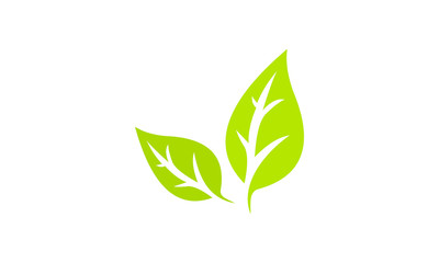 eco leaf