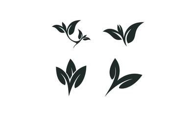 illustration vector leaf