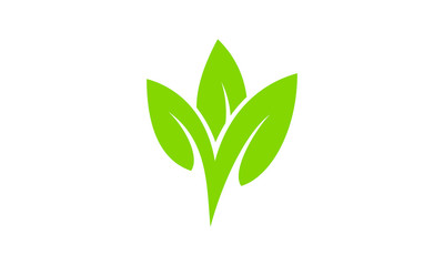 simple leaf vector