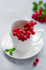 Red berries in a white cup with a saucer and green leaves on a bright table