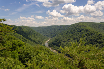 Fototapeta na wymiar New River Gorge, West Virginia