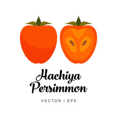 Persimmon vector editable illustration, Hachiya type. Kaki drawn in flat simple style.