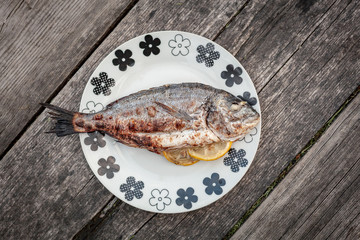 Roasted dorado fish on plate