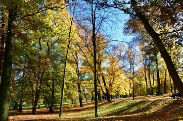 Park Stromovka, Prague, Czech Republic
