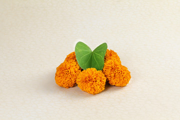 Dashera Festival apta leaf with marigold flower rangoli