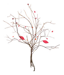 Floristik gestaltung enes baum auf weisem hintergrund.