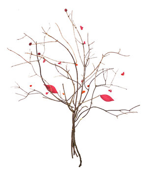 Floristik gestaltung enes baum auf weisem hintergrund.