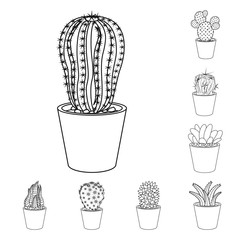 Isolated object of cactus and pot icon. Collection of cactus and cacti stock vector illustration.