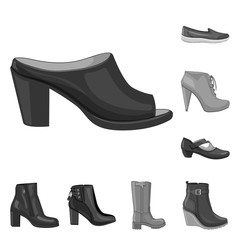 Isolated object of footwear and woman sign. Set of footwear and foot stock symbol for web.