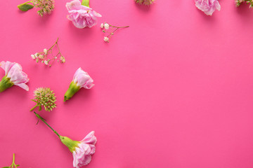Fototapeta na wymiar Beautiful flowers on color background