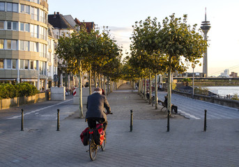 Man Riding a Bike between a Row of Trees
