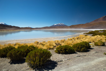 Laguna Ramaditas, altiplano, southern Bolivia South America © Lukas Uher