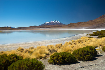 Laguna Ramaditas, altiplano, southern Bolivia South America