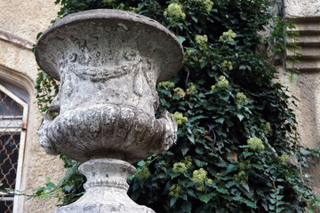 Old antique marble pot with ivy wall as background