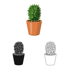 Vector illustration of cactus and pot logo. Set of cactus and cacti vector icon for stock.