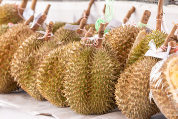 Group of  Durian  background.