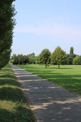 Sentiero ombreggiato nel parco pubblico