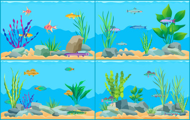 Fototapeta na wymiar Colorful Cartoon Aquarium Fishes Set Promo Poster