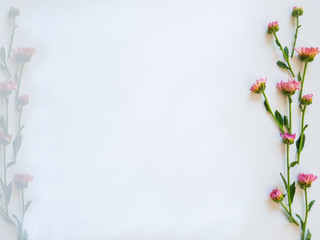 Flowers composition. Frame made of pink flowers and green leaves on white background with space for text. Flat lay, top view, copy space