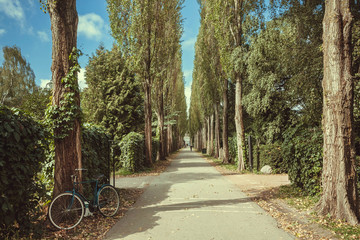 Fototapeta premium Old bicycle parked under tall trees at city park in center of Copenhagen, Denmark