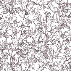 Floral seamless pattern. Ink hand-drawn elements. Modern design/pansies, pansy, heartsease, kiss-me-quick, love-in-idleness flowers