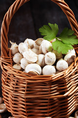 Obraz na płótnie Canvas raw fresh mushrooms on rustic table. white fresh mushroom