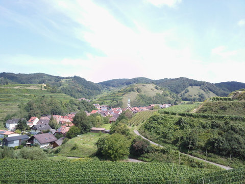 Schelingen im Kaieserstuhl