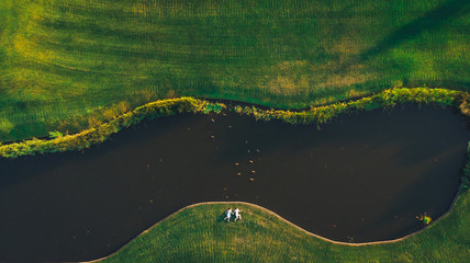 Frame shot from a drone a couple holding hands lying on the grass