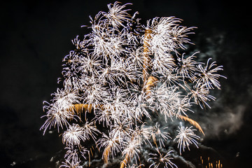 Feuerblumen am Silvernacht, Feuerwerk, Raketen, Party