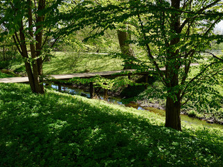 Small beautiful brook stream in a forest