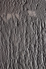 Concrete wall partially painted in gray with a paint roller. Paint texture in side sunlight