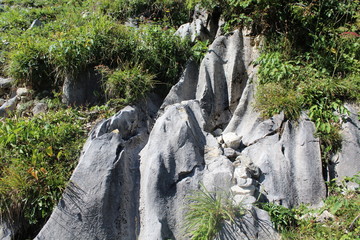 Fels mit Rillenkarren