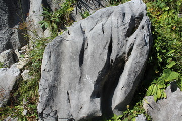 Fels mit Rillenkarren