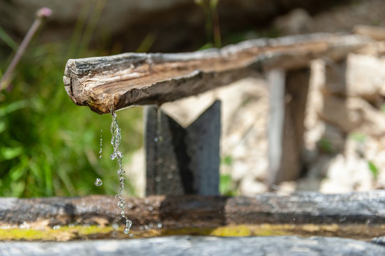 An old tree trunk is used as a through and is being filled by a flow pipe made from a second trunk. Image from the Italian Dolomites on a summer morning. Focus is on the dripping water.