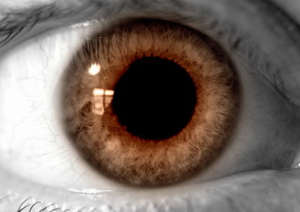 Eye