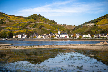 Assmanshausen im Herbst