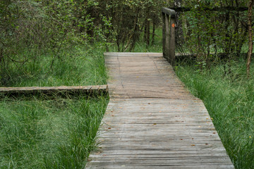 Bohlensteg im Pietzmoor in der Lüneburger Heide