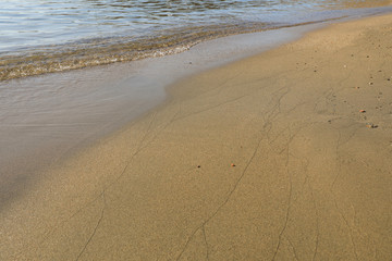 Golden sandy beach at the morning time.