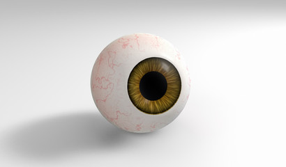 Realistic human eyeball with brown iris isolated on white background. 3D render