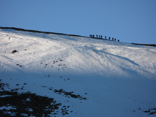 A party ascends the Fiacail Ridge in the Cairngorms