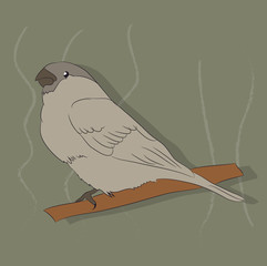 bird sitting on a branch, vector